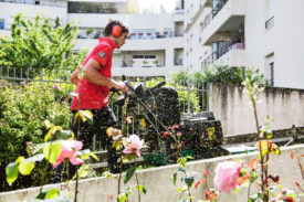 L’entretien des espaces verts